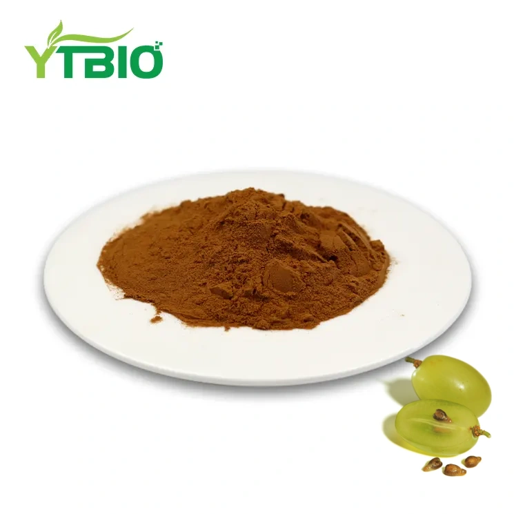 Grape Seed Extract Bulk